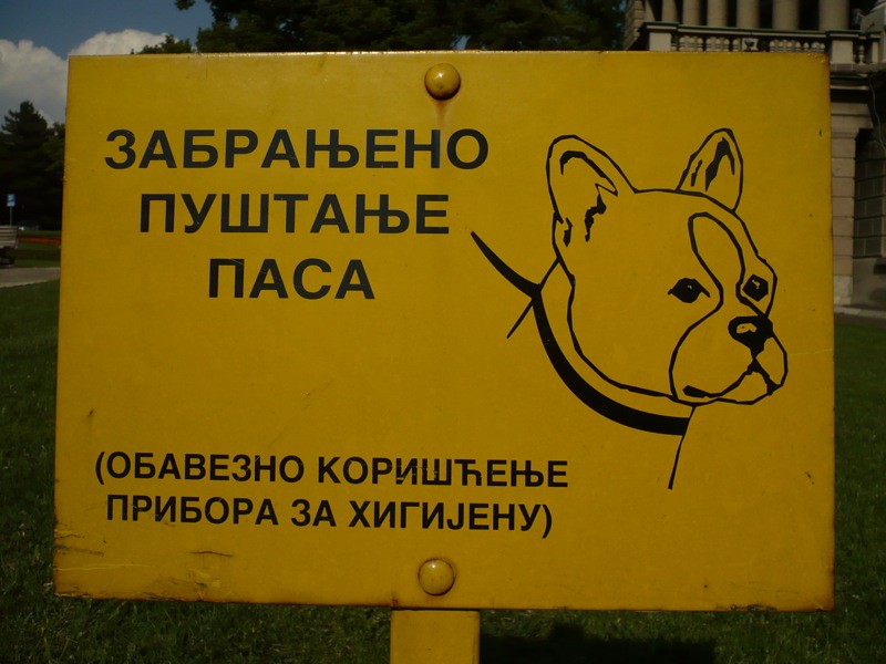 Watch your dog