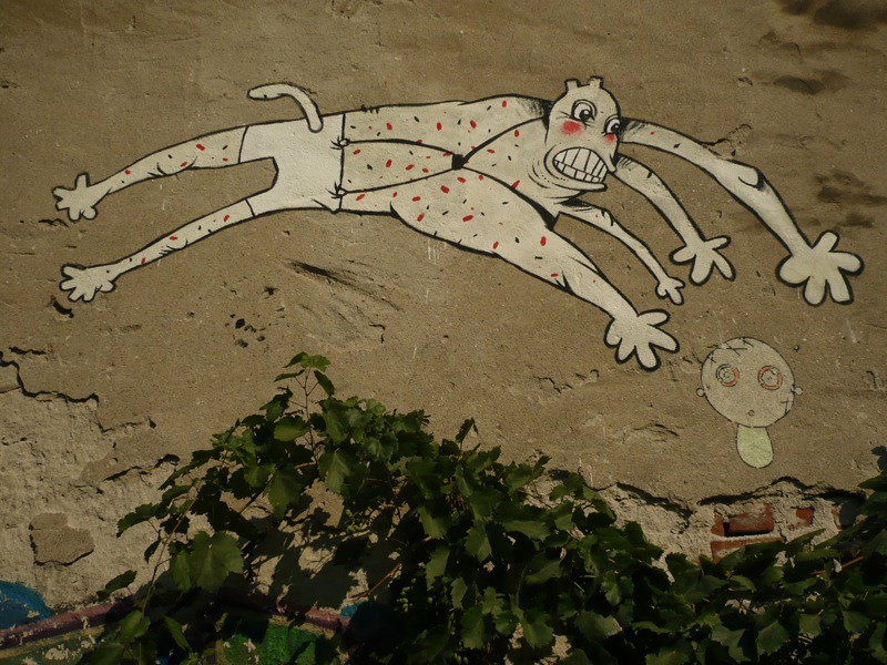 Ciubi from the Secret Garden