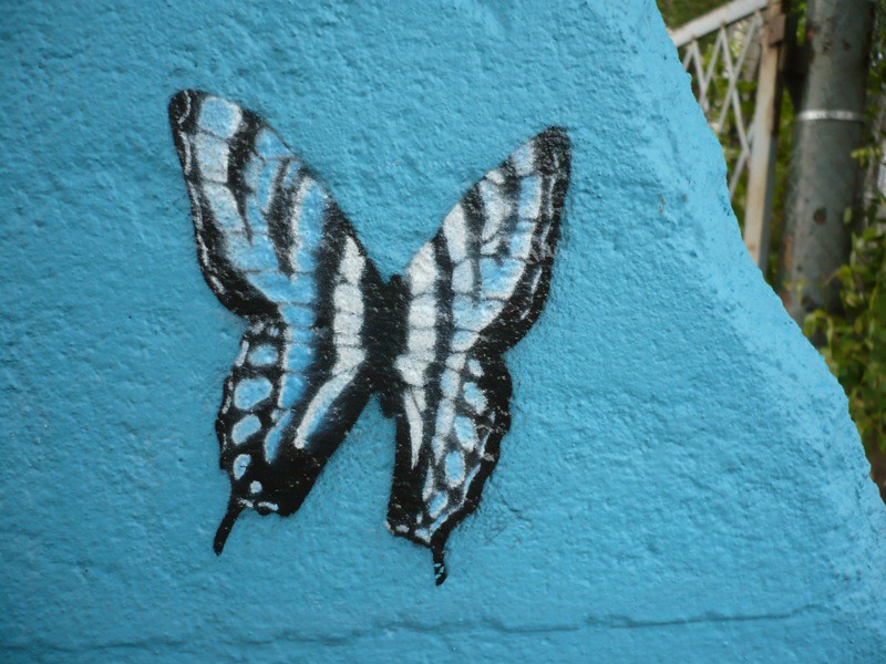 Butterfly