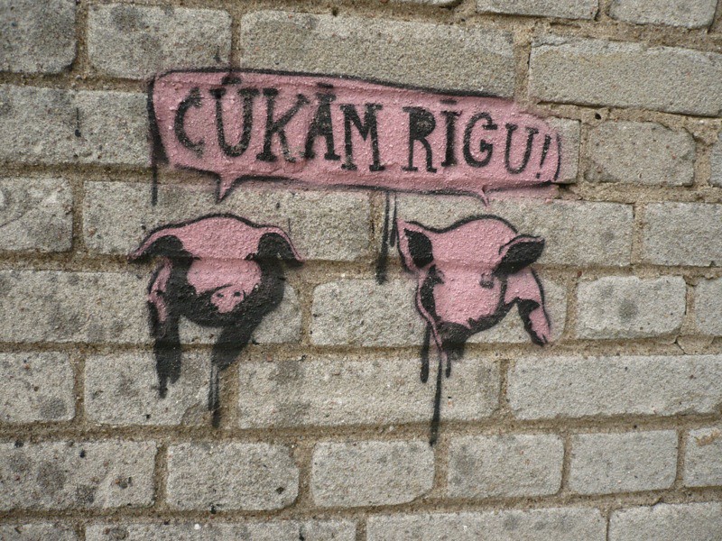 Pigs on a wall