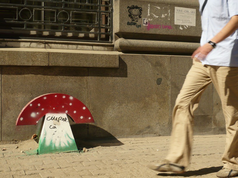 Magic Mushroom