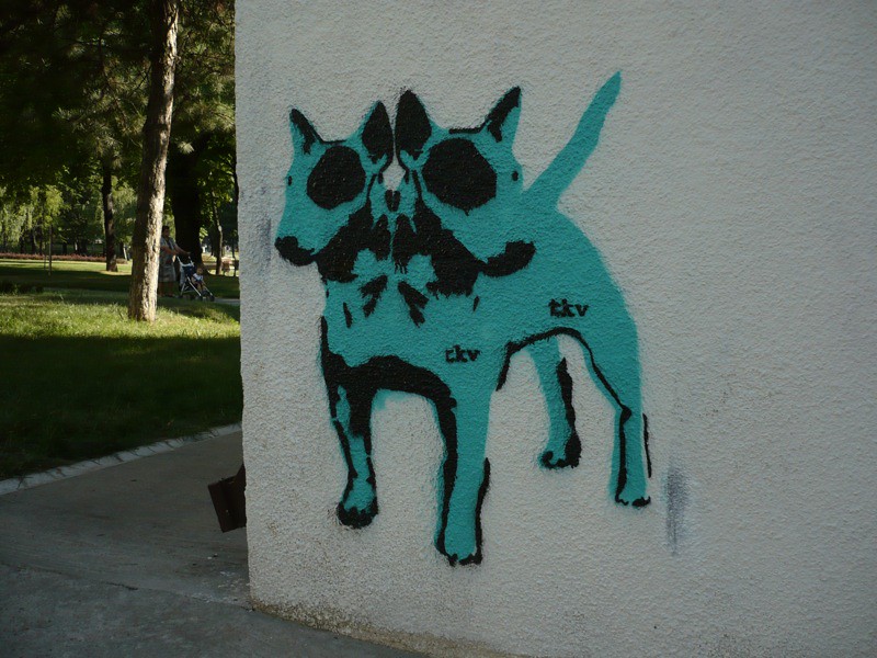 TKV dogs