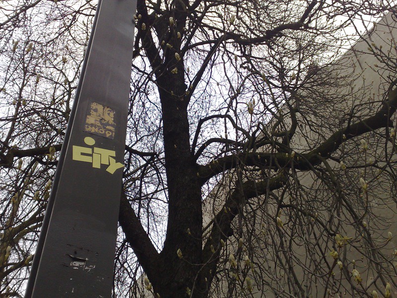 02042008341.jpg