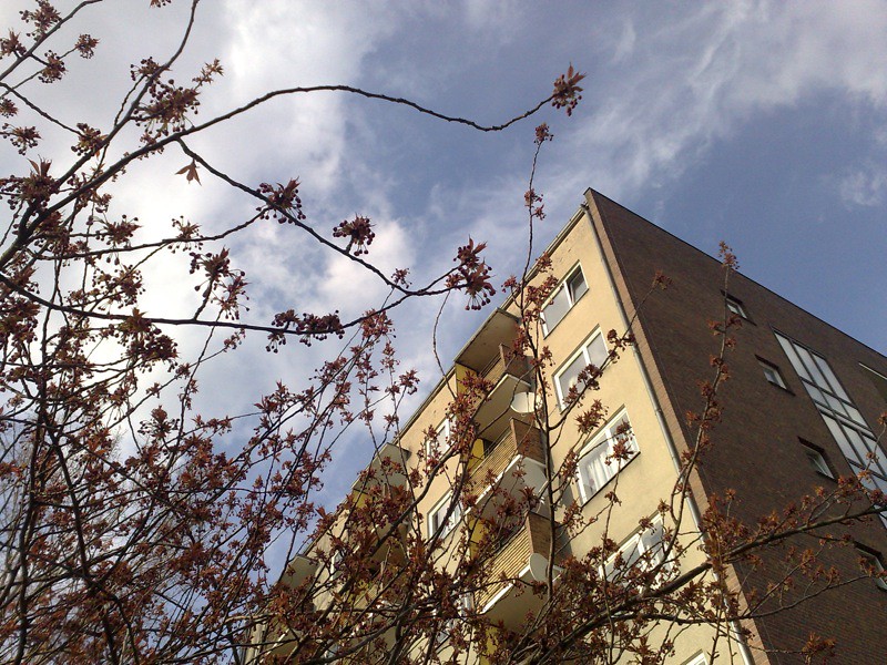 12042008446.jpg