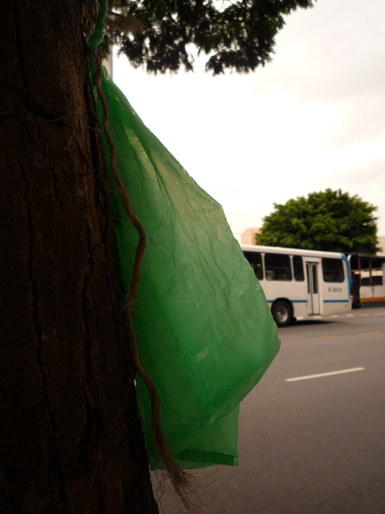 P1000444.JPG