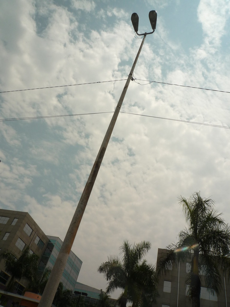 P1000631.JPG