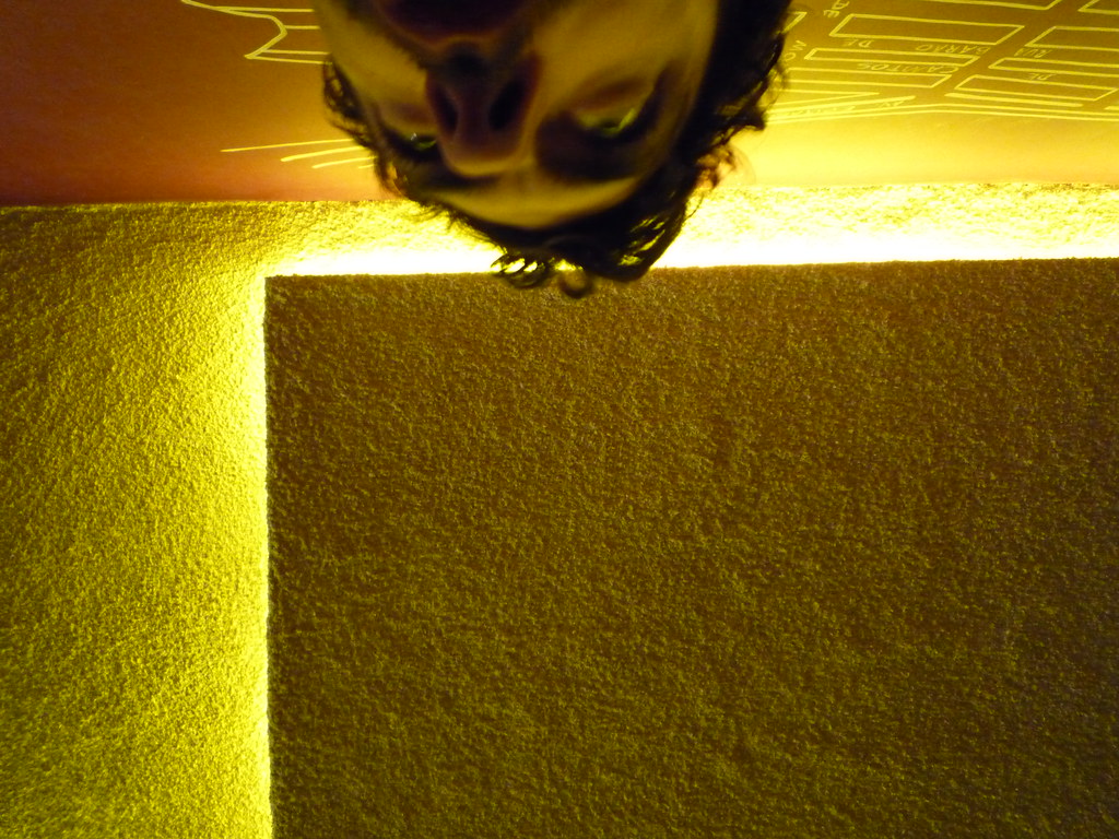 P1000329.JPG