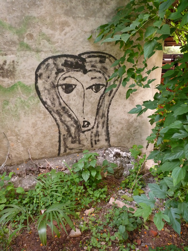 P1000937