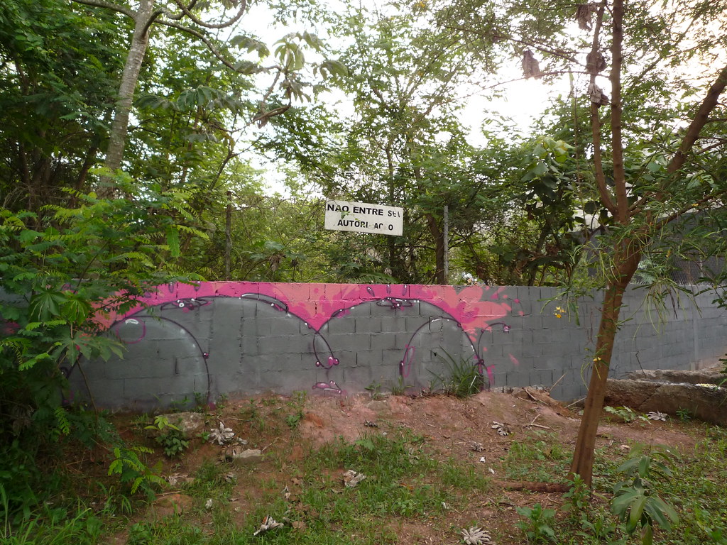 P1000942