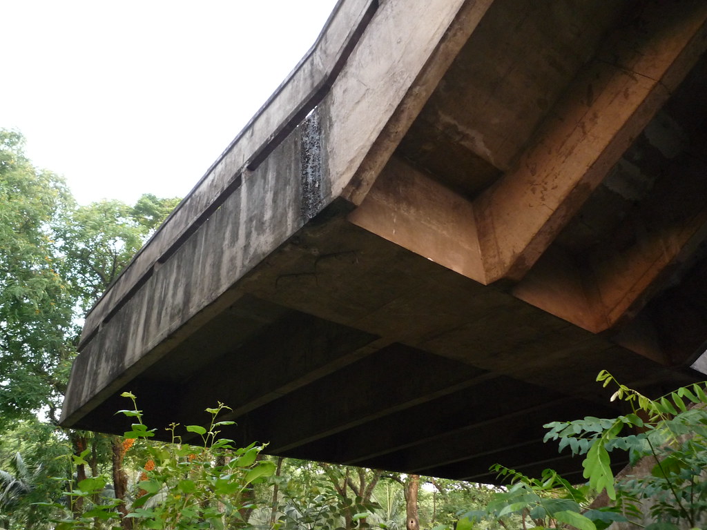 P1000938