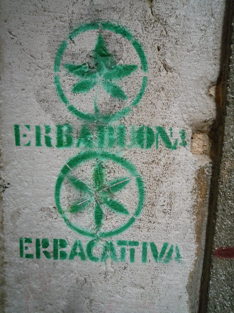 stencil greeen