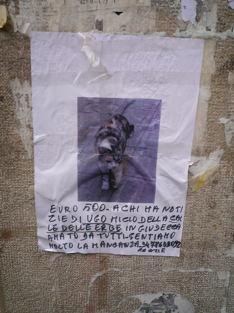 lost also