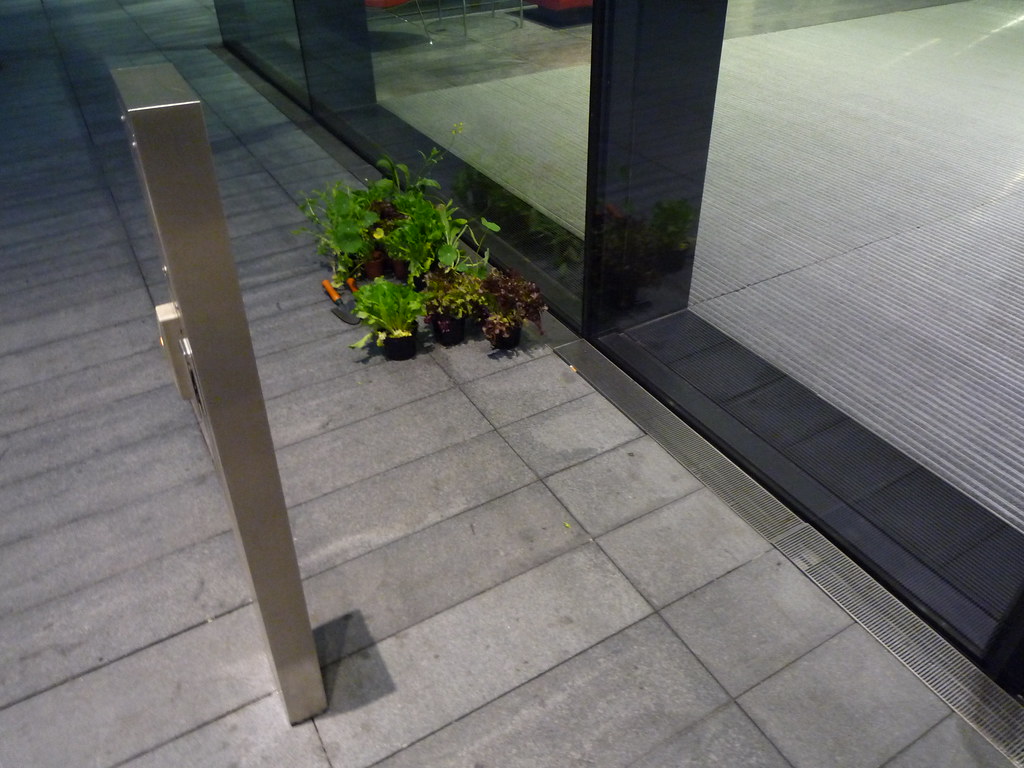P1010195.JPG