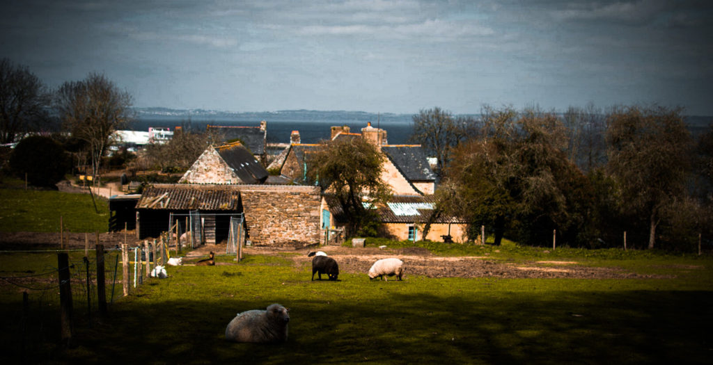Les Plomarc&rsquo;h, la campagne en ville.