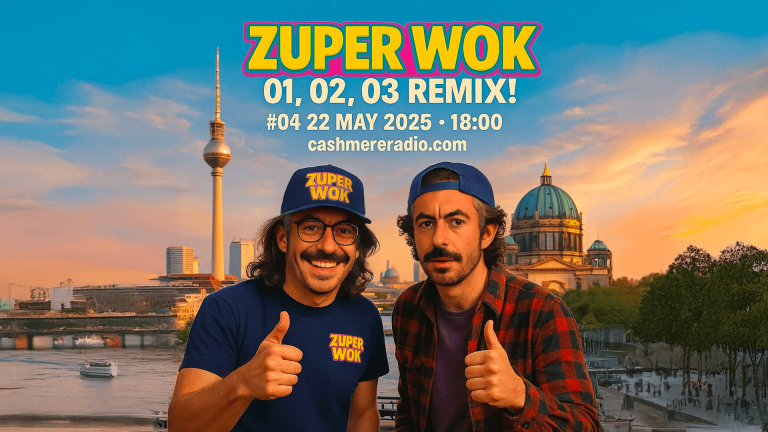 ZUPER WOK #04 – 01, 02, 03 Remix! · Meta_morph_ose