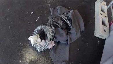 Et pendant ce temps // Le camp de migrants est désert // 17 Octobre 2018