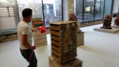 Et pendant ce temps // Pascal sauve un pigeon avec une épuisette // 29 Août 2018