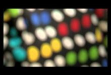 Edito Pollinisation Numérique