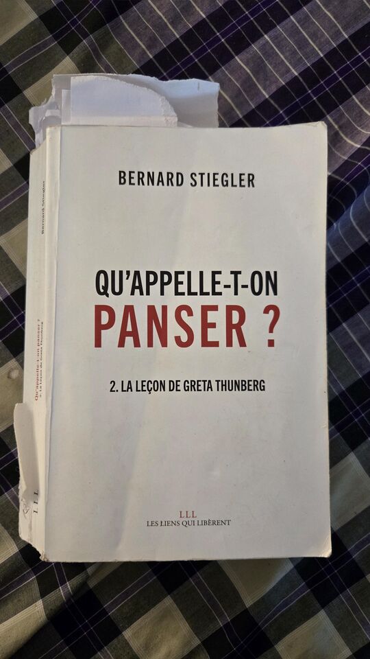 « Qu'appelle-t-on panser ? » — Bernard Stiegler, notre exemplaire