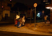 Regards, novembre 2008