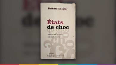 Couverture de « États de choc », Bernard Stiegler