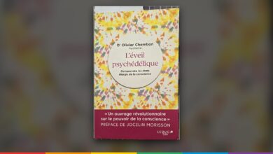 L'Éveil psychédélique, Olivier Chambon