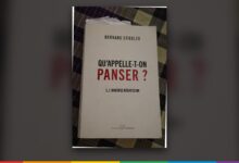 Couverture de « Qu'appelle-t-on panser ? », Bernard Stiegler