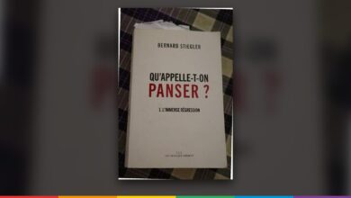 Couverture de « Qu'appelle-t-on panser ? », Bernard Stiegler