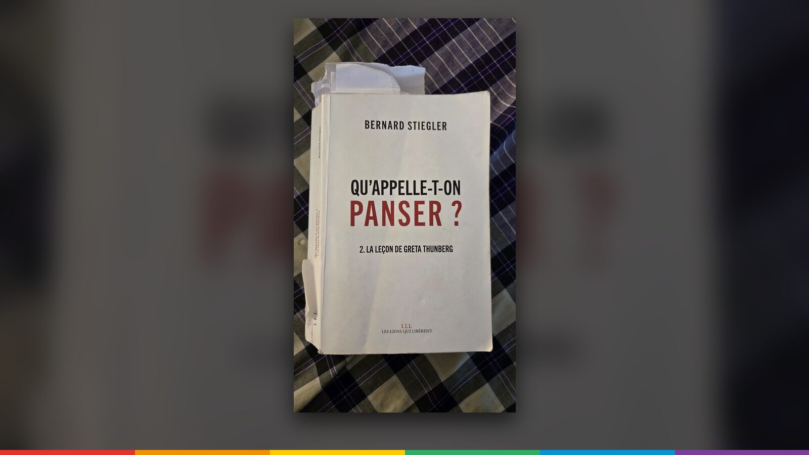 Couverture de « Qu'appelle-t-on panser ? », Bernard Stiegler