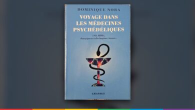 Couverture de « Voyage dans les médecines psychédéliques », Dominique Nora